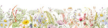 Wild Flowers Watercolor Frame Botanical Hand Drawn Illustration