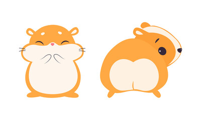 Wall Mural - Cute Hamster Character with Stout Body Standing Front and Back Side Vector Set