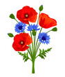 Vector rustic bouquet of wildflowers. Red poppy flowers, blue cornflowers and green leaves isolated on a white background.