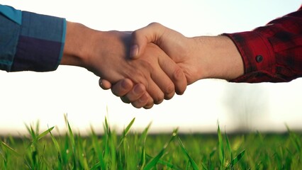 Wall Mural - handshake agriculture. hands of group farmer business make a contract in the field. farmer handshake shaking hands on green field background crop. business market agriculture concept.