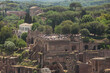 Rare view on Palatine hill in Rome