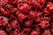 Close-up Of Dry Hibiscus Flowers