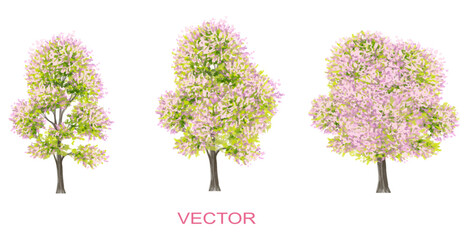 Wall Mural - vector watercolor blooming flower tree side view isolated on white background for landscape and arch