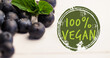 Image of 100 percent vegan text in green over fresh organic blueberries