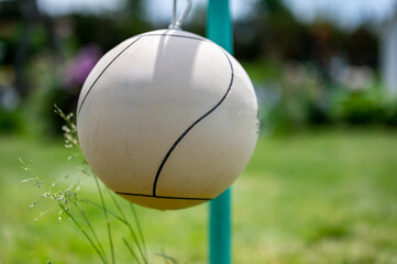 Canvas Print - tetherball sitting idle next to the pole in a backyard.