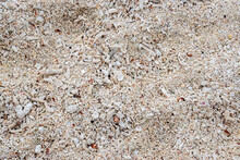 White Coral Sand From Dry Tortugas National Park And The Last Of The Florida Keys
