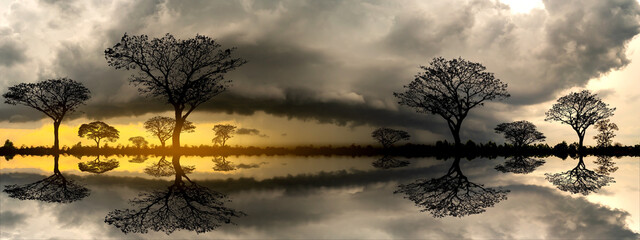 Wall Mural - big dark clouds storm.panorama silhouette tree in africa with dark clouds storm.tree silhouetted ref