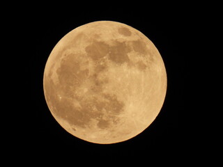Wall Mural - Full Moon