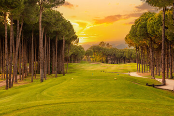 Tee box area at golf course at sunset with beautiful sky. Scenic panoramic view of golf fairway. Golf field with pines