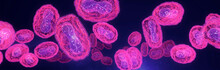 Pox, Monkey Pox Virus Flow With DNA Inside. 3d Visualization, Glowing, Neon Light On Dark Background