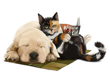 A Sly Cat Reading A Magazine And A Sleeping Dog