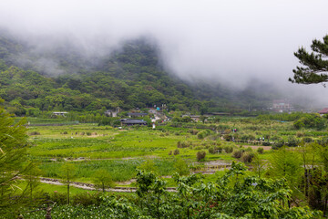 Wall Mural - Yangmingshan National Park in Taiwan