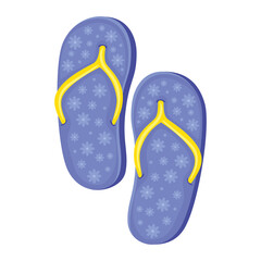 Poster - blue flip flops accessories