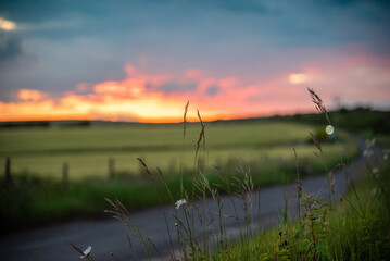 Wall Mural - Farm field in sunset colours and cloudy skies