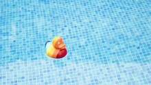 Rubber Duck In Rainbow Color