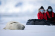 Photographers in boat watch sleeping crabeater seal