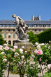 © Nekobus - Paris, France. Roses blooming in the Palais Royal Gardens. May 9, 2022.