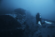 wreck diving thistelgorm, underwater adventure historical diving, treasure hunt