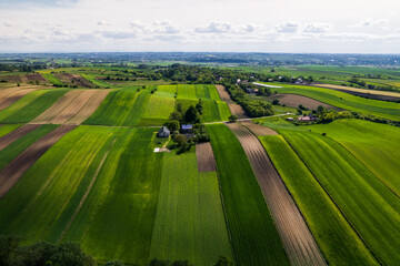 Wall Mural - Colorful Lush Crop Fields in Rural Counrtyside Landscape. Aerial Drone View. Polish Farmlands
