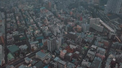 Wall Mural - Aerial of Tokyo, Japan on a cloudy day