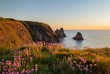 Leinwandbild Motiv The coast of Ceibwr in Pembrokeshire, Wales with pink sea thrift