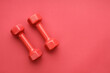© metelevan - two red dumbbells in the corner of the frame on a red background