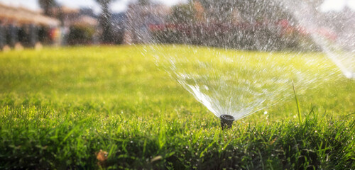 Wall Mural - Irrigation sprinkler watering the green lawn in the park at sunset.