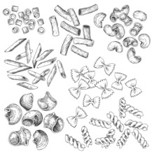 A Collection Of Vector Pasta Of Various Varieties. Hand-drawn Sketches. Vintage Style Engraving