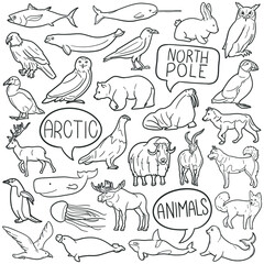 Wall Mural - Arctic Animals Doodle Icons. Hand Made Line Art. Polar Clipart Logotype Symbol Design.