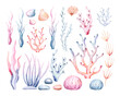 Watercolor seaweeds illustration. Sea underwater plants, ocean coral reef and aquatic kelp, hand drawn marine flora set. hand drawn seaweed cartoon sketch aquarium decor