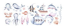 Set Of Sea Animals. Blue Watercolor Ocean Fish, Turtle, Whale And Coral. Shell Aquarium Mermaid Submarine. Nautical Dolphin Marine Illustration, Jellyfish, Starfish