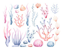 Watercolor Seaweeds Illustration. Sea Underwater Plants, Ocean Coral Reef And Aquatic Kelp, Hand Drawn Marine Flora Set. Hand Drawn Seaweed Cartoon Sketch Aquarium Decor
