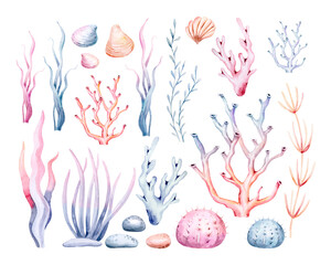 Wall Mural - Watercolor seaweeds illustration. Sea underwater plants, ocean coral reef and aquatic kelp, hand drawn marine flora set. hand drawn seaweed cartoon sketch aquarium decor