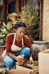 Wall Mural - Young black florist arranging potted plants in cardboard box.