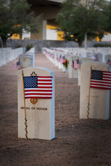 Wall Mural - Medal of Honor