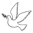 Dove with branch contour icon