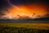 Fototapeta Kawa jest smaczna - Lightning illuminates ominous storm clouds over farmland.
