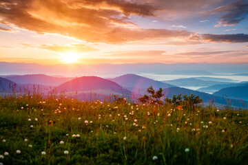 Wall Mural - The sun sets over the mountain ranges. Carpathian mountains, Ukraine, Europe.