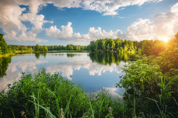 Wall Mural - Great view of the quiet lake and green forest on a sunny day. Ukraine, Europe.