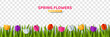 Many paper cut tulips isolated on transparent background. Vector illustration. Seamless pattern spring flowers, border header for Happy Mother's day bouquet