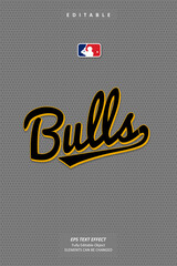 Wall Mural - Grey Jersey baseball team logo printable embroidery text effect editable premium vector
