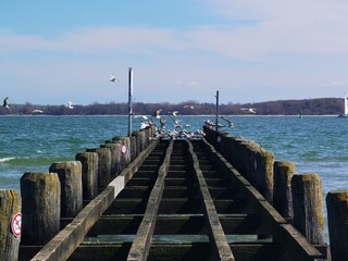 Sticker - wooden pier in the sea