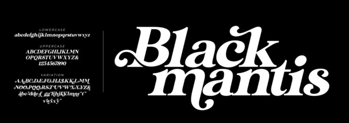 elegant font uppercase lowercase and number. classic lettering minimal fashion designs. typography m