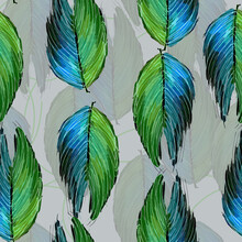 Pattern Green Blue Bird Feather On A White Background For Your Seamless Design