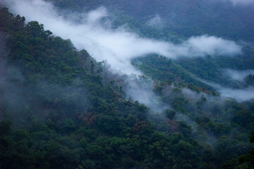  Misty Hills of Kuttikkanam. Beautiful landscape in a foggy morning.