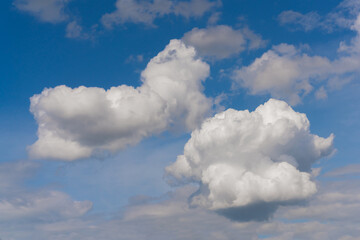 Wall Mural - Beautiful white clouds on a bright blue background.