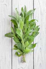 Wall Mural - Bunch of fresh sage on white wooden background