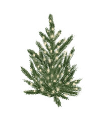 Evergreen pine tree in rustic pot with christmas lights,pine cone, firry. Watercolor illustration. Farmhouse Christmas tree isolated on the white background