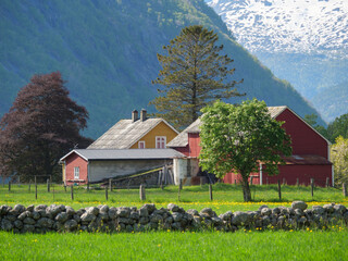 Wall Mural - Eidfjörd und der Hardangerfjörd in Norwegen