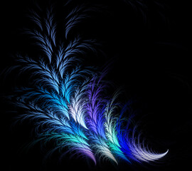 Wall Mural - Abstract fractal blue feathery pattern on black background